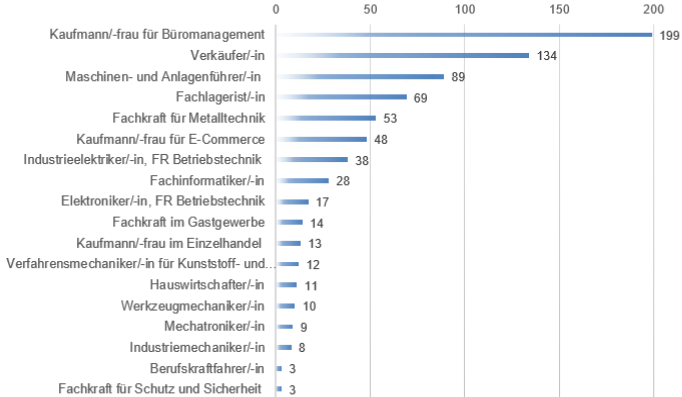 Grafik der Berufsbilder im Jahr 2024